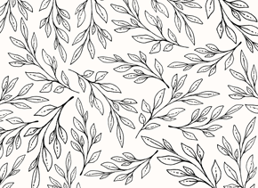 prod_horizontal_4x5_5Back