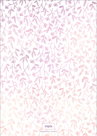 prod_vertical_5x7Back