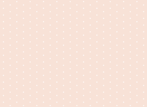 prod_horizontal_4x5_5Back