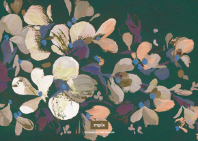 prod_horizontal_5x7Back