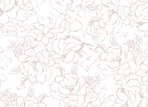 prod_horizontal_4x5_5Back