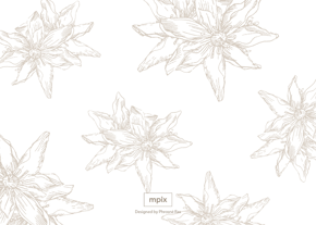 prod_horizontal_5x7Back