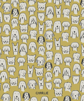 prod_vertical_5x7Front