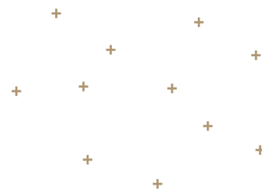 prod_horizontal_4x5_5Back