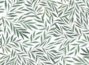 prod_horizontal_4x5_5Back