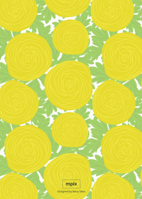 prod_vertical_5x7Back