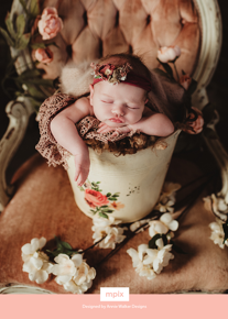 prod_vertical_5x7Back