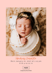 prod_vertical_5x7Back