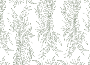 prod_horizontal_4x5_5Back