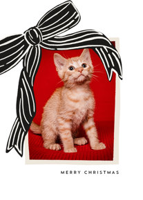 prod_vertical_5x7Front