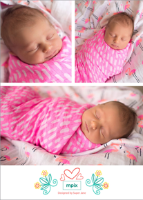 prod_vertical_5x7Back