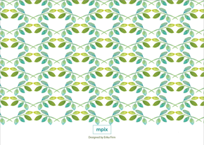 prod_horizontal_5x7Back