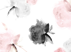 prod_horizontal_4x5_5Back