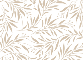 prod_horizontal_4x5_5Back