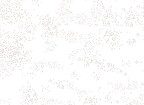 prod_horizontal_4x5_5Back