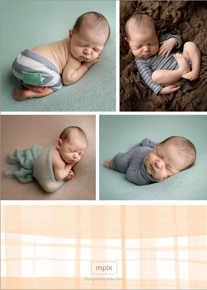 prod_vertical_5x7Back