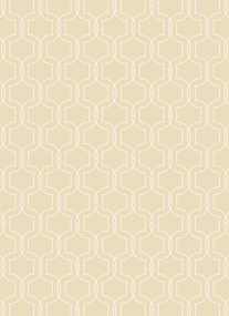 prod_vertical_4x5_5Back