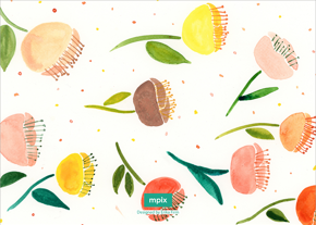 prod_horizontal_5x7Back