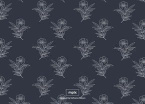 prod_horizontal_5x7Back