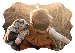 prod_vertical_5x7Back