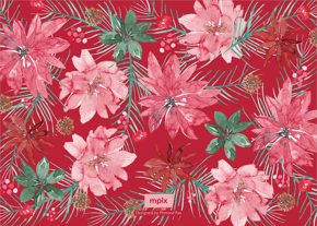 prod_horizontal_5x7Back